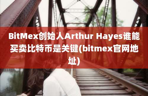 BitMex创始人Arthur Hayes谁能买卖比特币是关键(bitmex官网地址)