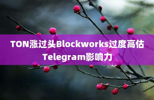 TON涨过头Blockworks过度高估Telegram影响力