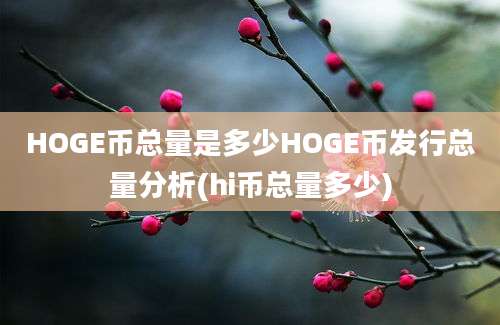 HOGE币总量是多少HOGE币发行总量分析(hi币总量多少)