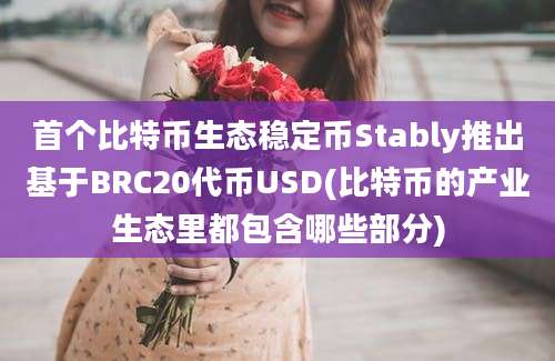 首个比特币生态稳定币Stably推出基于BRC20代币USD(比特币的产业生态里都包含哪些部分)