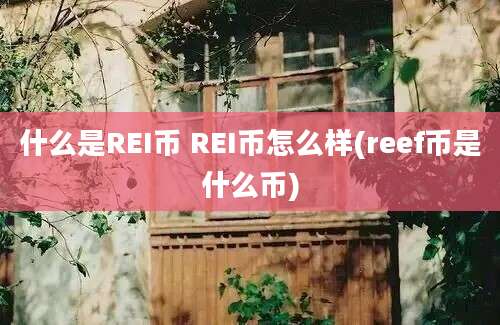 什么是REI币 REI币怎么样(reef币是什么币)