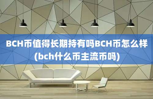 BCH币值得长期持有吗BCH币怎么样(bch什么币主流币吗)