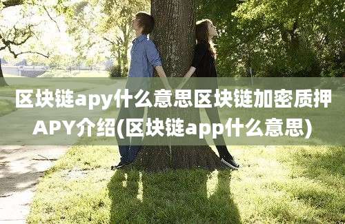 区块链apy什么意思区块链加密质押APY介绍(区块链app什么意思)