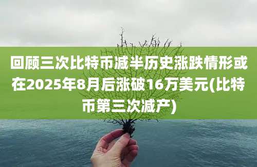 回顾三次比特币减半历史涨跌情形或在2025年8月后涨破16万美元(比特币第三次减产)