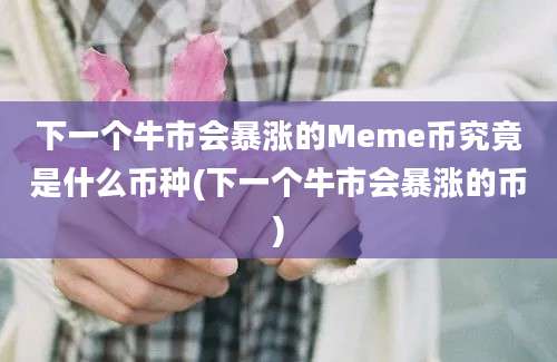 下一个牛市会暴涨的Meme币究竟是什么币种(下一个牛市会暴涨的币)