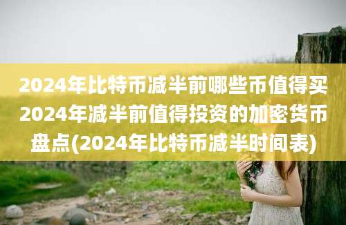 2024年比特币减半前哪些币值得买2024年减半前值得投资的加密货币盘点(2024年比特币减半时间表)