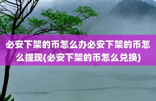 必安下架的币怎么办必安下架的币怎么提现(必安下架的币怎么兑换)