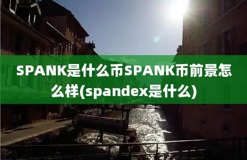 SPANK是什么币SPANK币前景怎么样(spandex是什么)