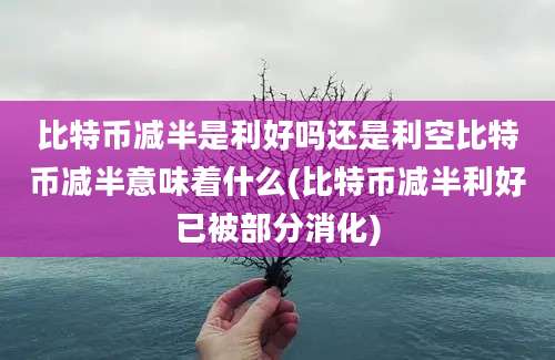 比特币减半是利好吗还是利空比特币减半意味着什么(比特币减半利好已被部分消化)