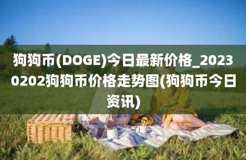 狗狗币(DOGE)今日最新价格_20230202狗狗币价格走势图(狗狗币今日资讯)