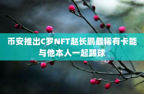 币安推出C罗NFT赵长鹏最稀有卡能与他本人一起踢球