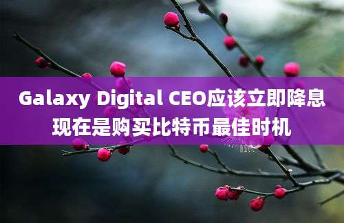 Galaxy Digital CEO应该立即降息现在是购买比特币最佳时机