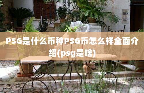 PSG是什么币种PSG币怎么样全面介绍(psg是啥)