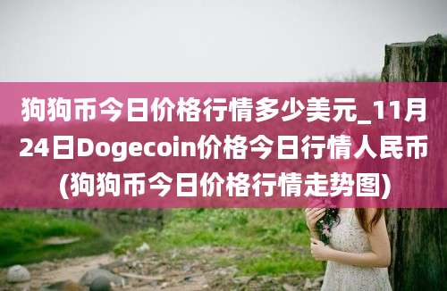 狗狗币今日价格行情多少美元_11月24日Dogecoin价格今日行情人民币(狗狗币今日价格行情走势图)