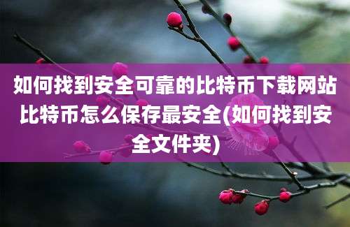 如何找到安全可靠的比特币下载网站比特币怎么保存最安全(如何找到安全文件夹)