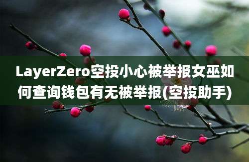 LayerZero空投小心被举报女巫如何查询钱包有无被举报(空投助手)