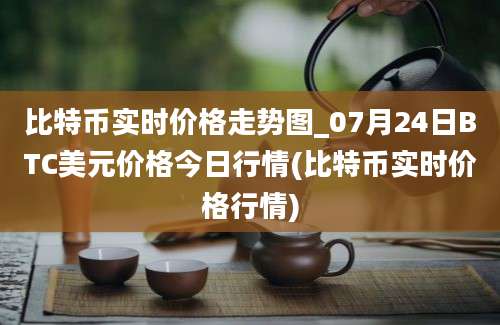 比特币实时价格走势图_07月24日BTC美元价格今日行情(比特币实时价格行情)