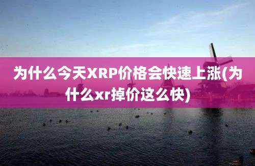 为什么今天XRP价格会快速上涨(为什么xr掉价这么快)