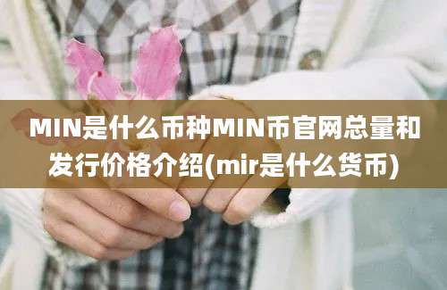 MIN是什么币种MIN币官网总量和发行价格介绍(mir是什么货币)