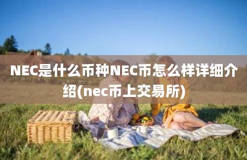 NEC是什么币种NEC币怎么样详细介绍(nec币上交易所)