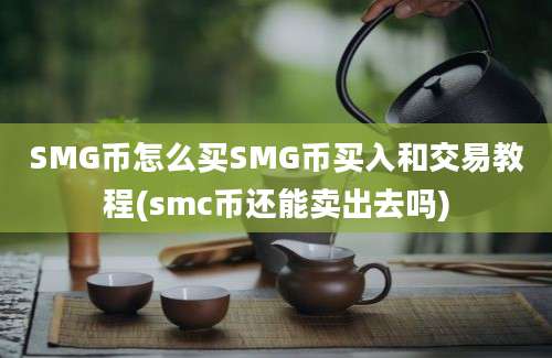 SMG币怎么买SMG币买入和交易教程(smc币还能卖出去吗)