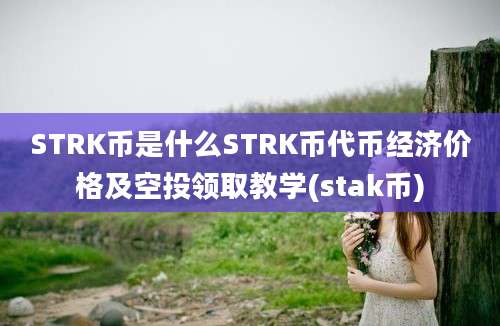 STRK币是什么STRK币代币经济价格及空投领取教学(stak币)