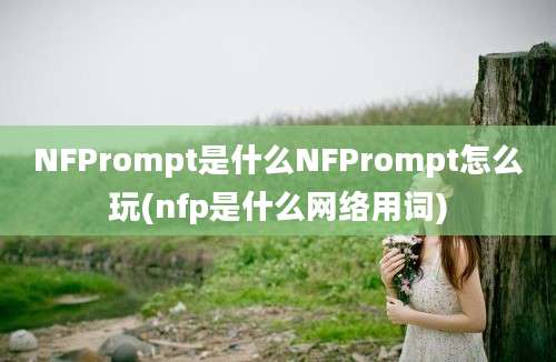 NFPrompt是什么NFPrompt怎么玩(nfp是什么网络用词)