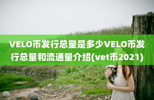 VELO币发行总量是多少VELO币发行总量和流通量介绍(vet币2021)