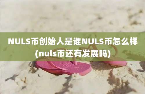 NULS币创始人是谁NULS币怎么样(nuls币还有发展吗)