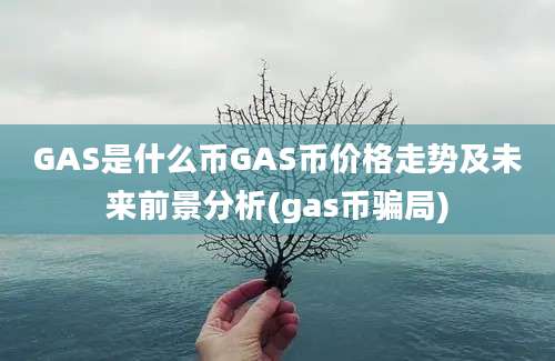 GAS是什么币GAS币价格走势及未来前景分析(gas币骗局)