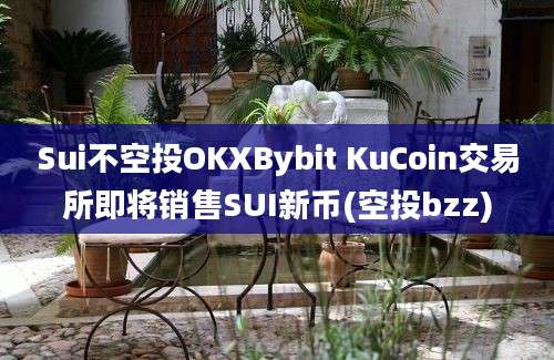 Sui不空投OKXBybit KuCoin交易所即将销售SUI新币(空投bzz)