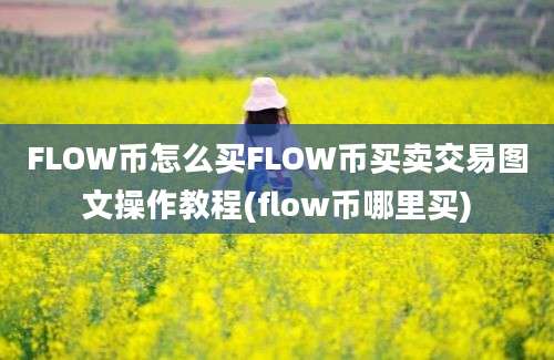 FLOW币怎么买FLOW币买卖交易图文操作教程(flow币哪里买)