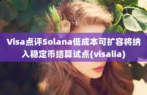 Visa点评Solana低成本可扩容将纳入稳定币结算试点(visalia)