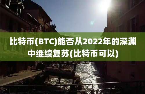 比特币(BTC)能否从2022年的深渊中继续复苏(比特币可以)