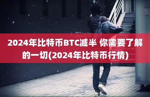 2024年比特币BTC减半 你需要了解的一切(2024年比特币行情)