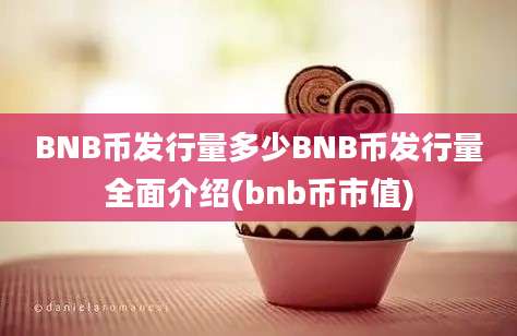 BNB币发行量多少BNB币发行量全面介绍(bnb币市值)