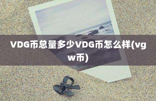 VDG币总量多少VDG币怎么样(vgw币)