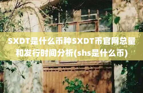 SXDT是什么币种SXDT币官网总量和发行时间分析(shs是什么币)