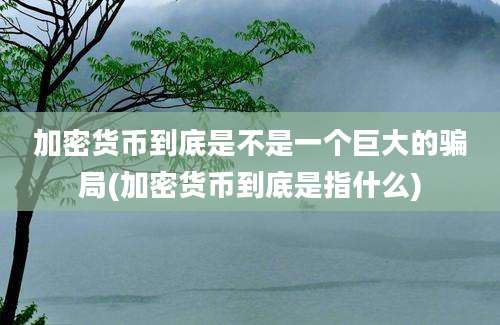 加密货币到底是不是一个巨大的骗局(加密货币到底是指什么)