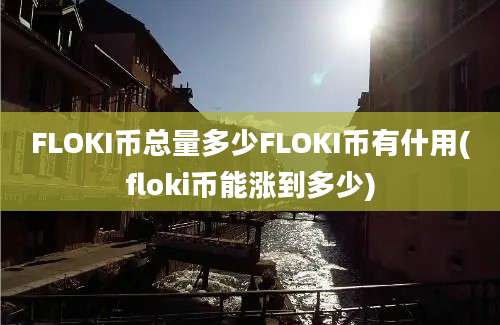 FLOKI币总量多少FLOKI币有什用(floki币能涨到多少)