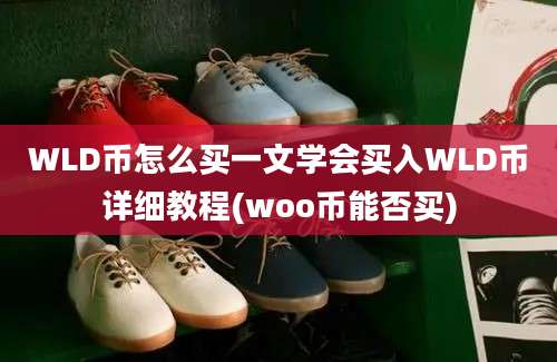 WLD币怎么买一文学会买入WLD币详细教程(woo币能否买)