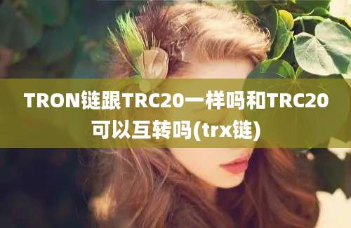 TRON链跟TRC20一样吗和TRC20可以互转吗(trx链)