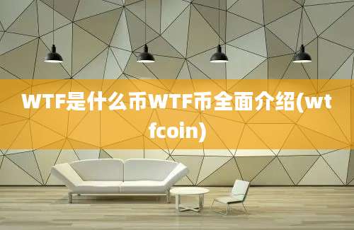 WTF是什么币WTF币全面介绍(wtfcoin)