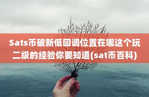 Sats币破新低回调位置在哪这个玩二级的经验你要知道(sat币百科)