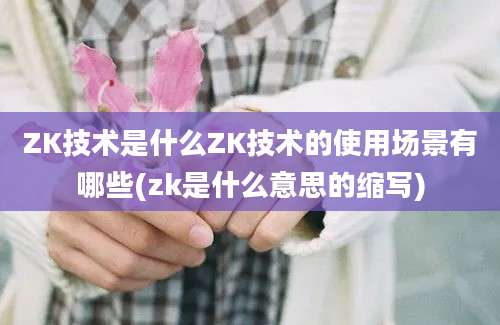 ZK技术是什么ZK技术的使用场景有哪些(zk是什么意思的缩写)