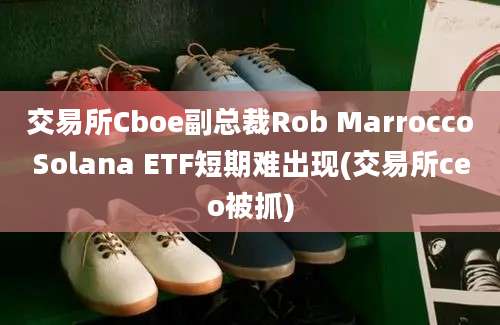 交易所Cboe副总裁Rob MarroccoSolana ETF短期难出现(交易所ceo被抓)