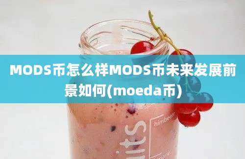 MODS币怎么样MODS币未来发展前景如何(moeda币)