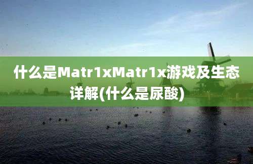 什么是Matr1xMatr1x游戏及生态详解(什么是尿酸)