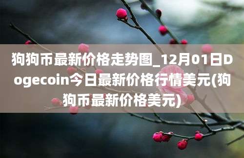 狗狗币最新价格走势图_12月01日Dogecoin今日最新价格行情美元(狗狗币最新价格美元)