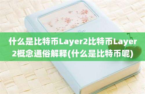 什么是比特币Layer2比特币Layer2概念通俗解释(什么是比特币呢)